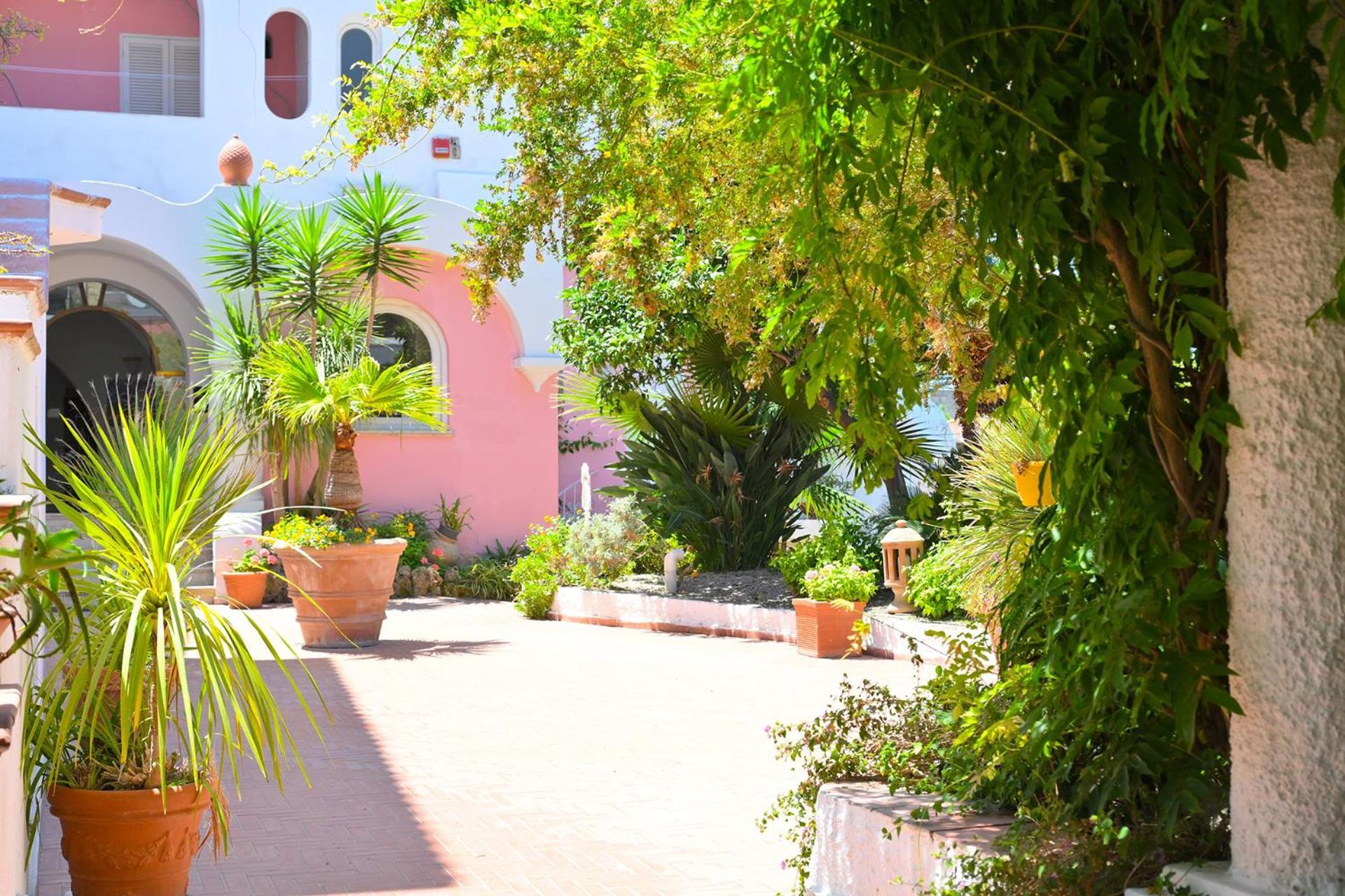 Av Club Terme Colella Hotel Forio di Ischia Екстериор снимка