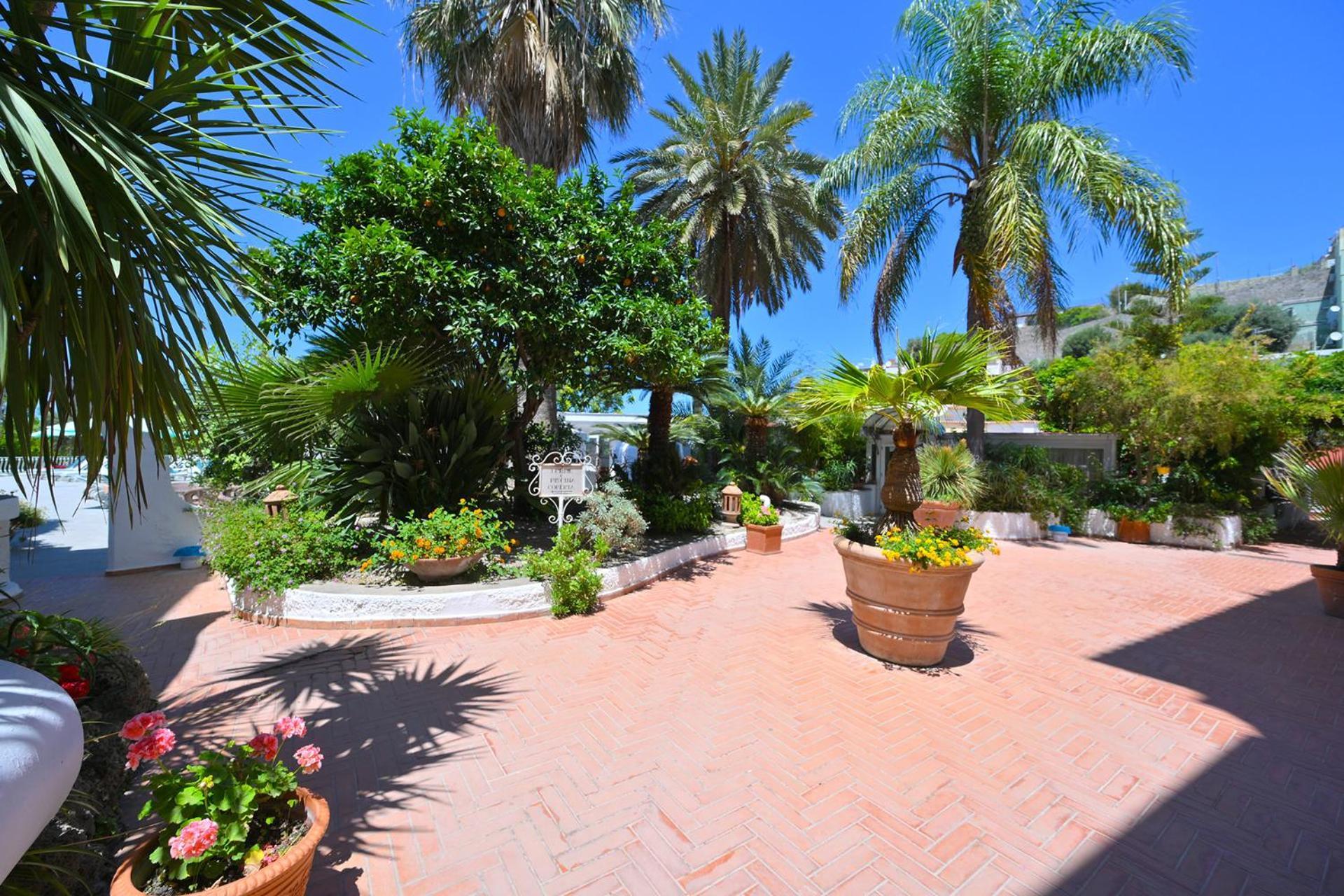Av Club Terme Colella Hotel Forio di Ischia Екстериор снимка